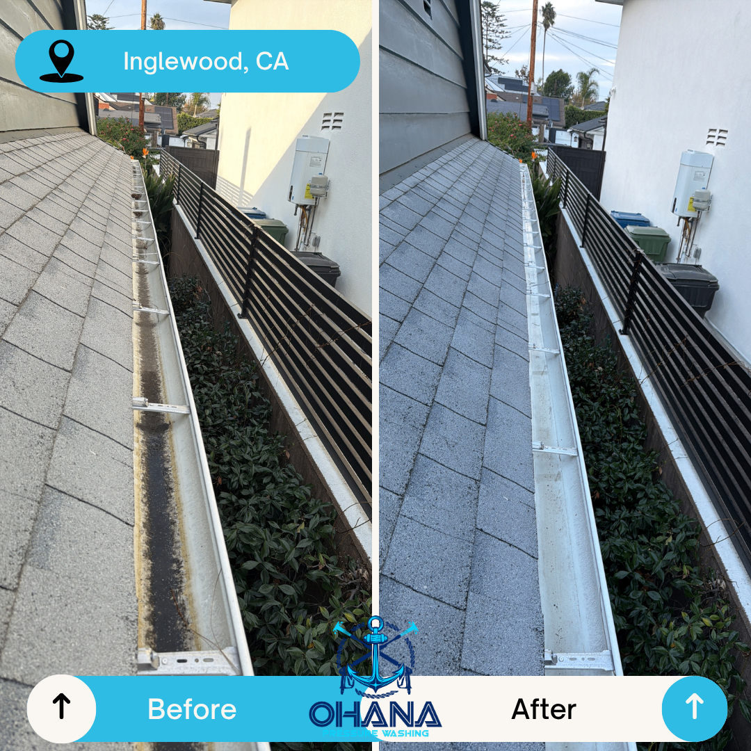Residential gutter cleaning results