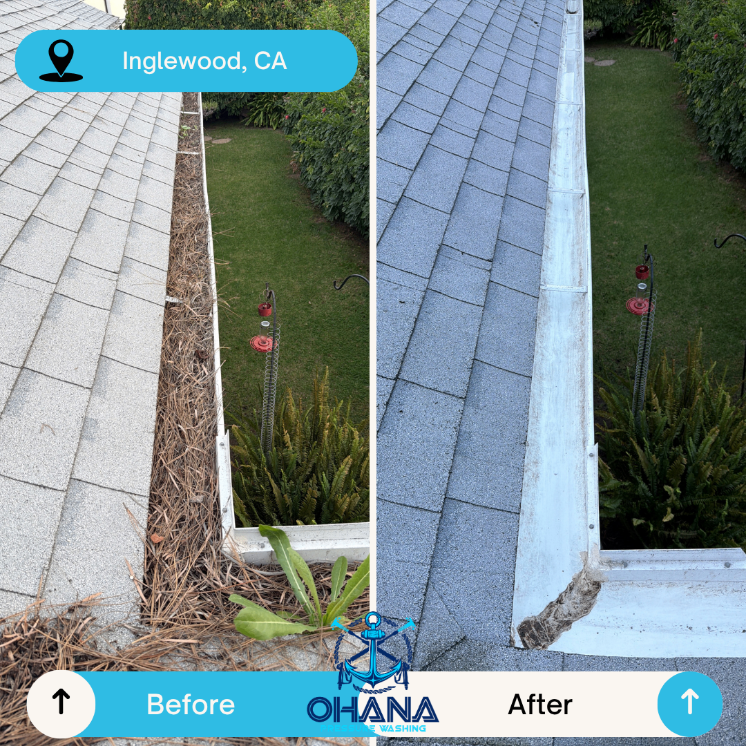 Gutter Cleanout gallery