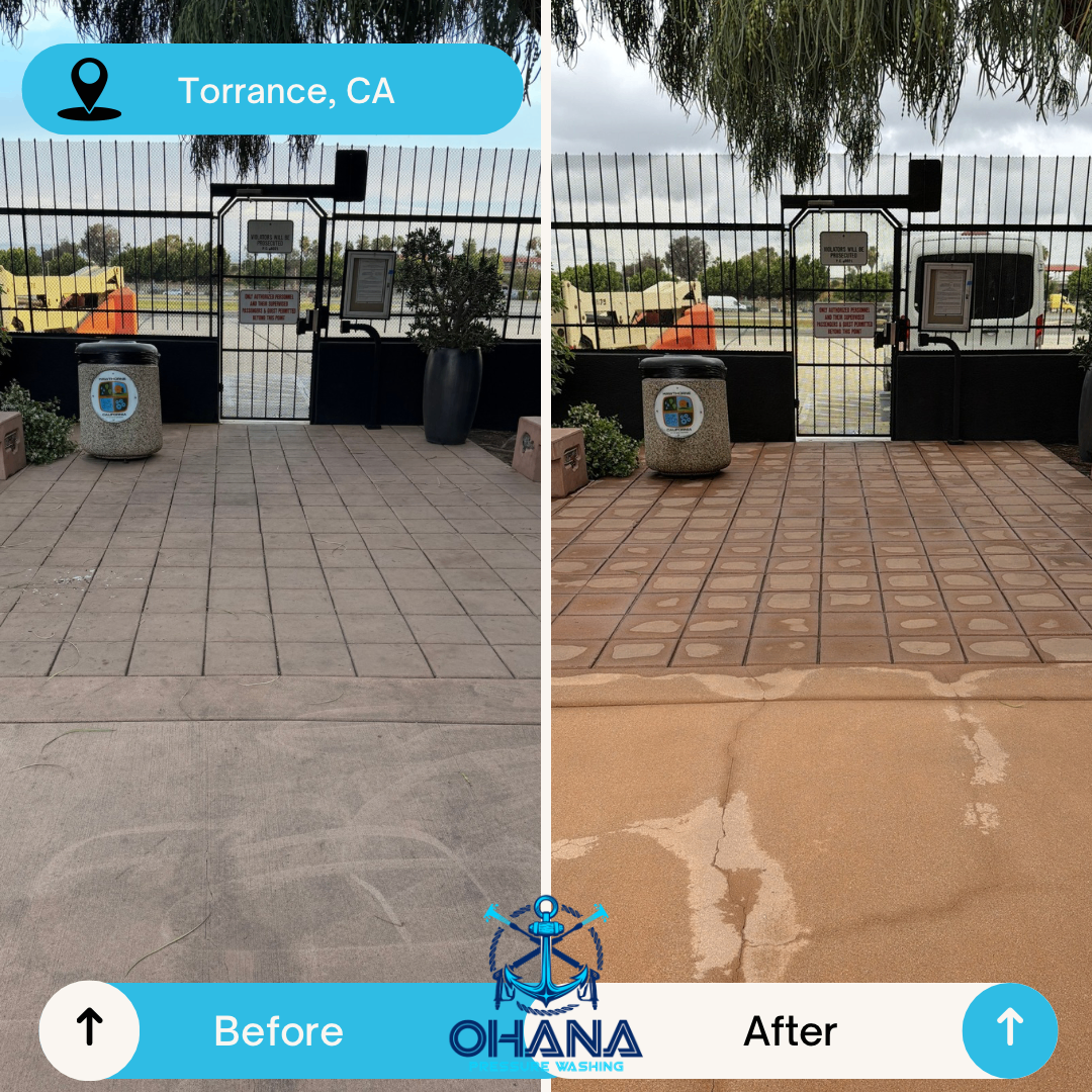 Commercial pressure washing project