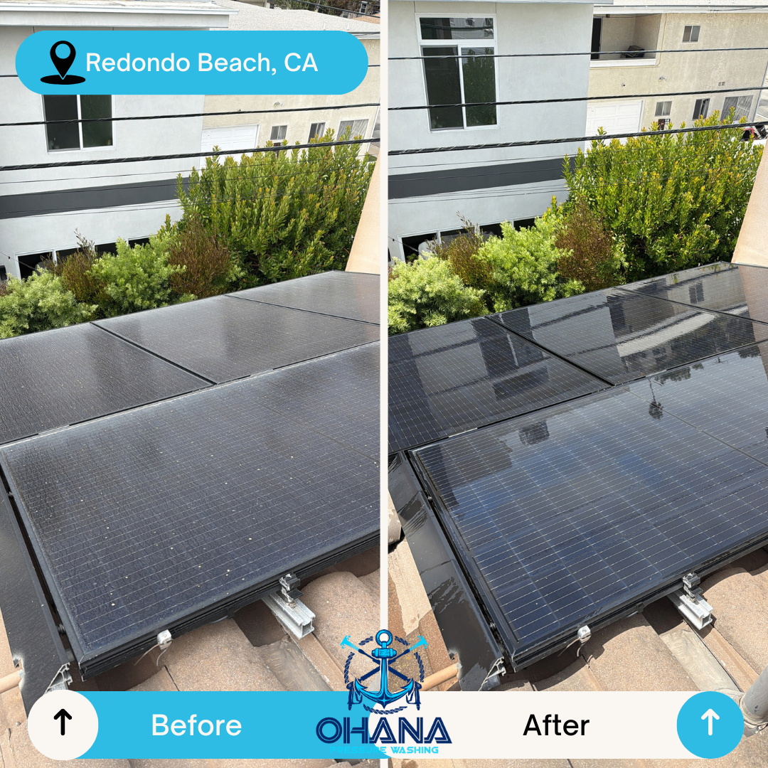 Solar Panel Cleaning gallery