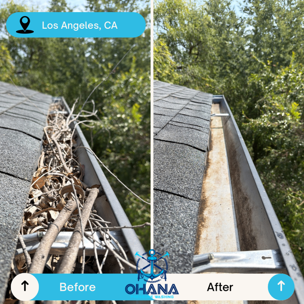 Gutter Cleanout