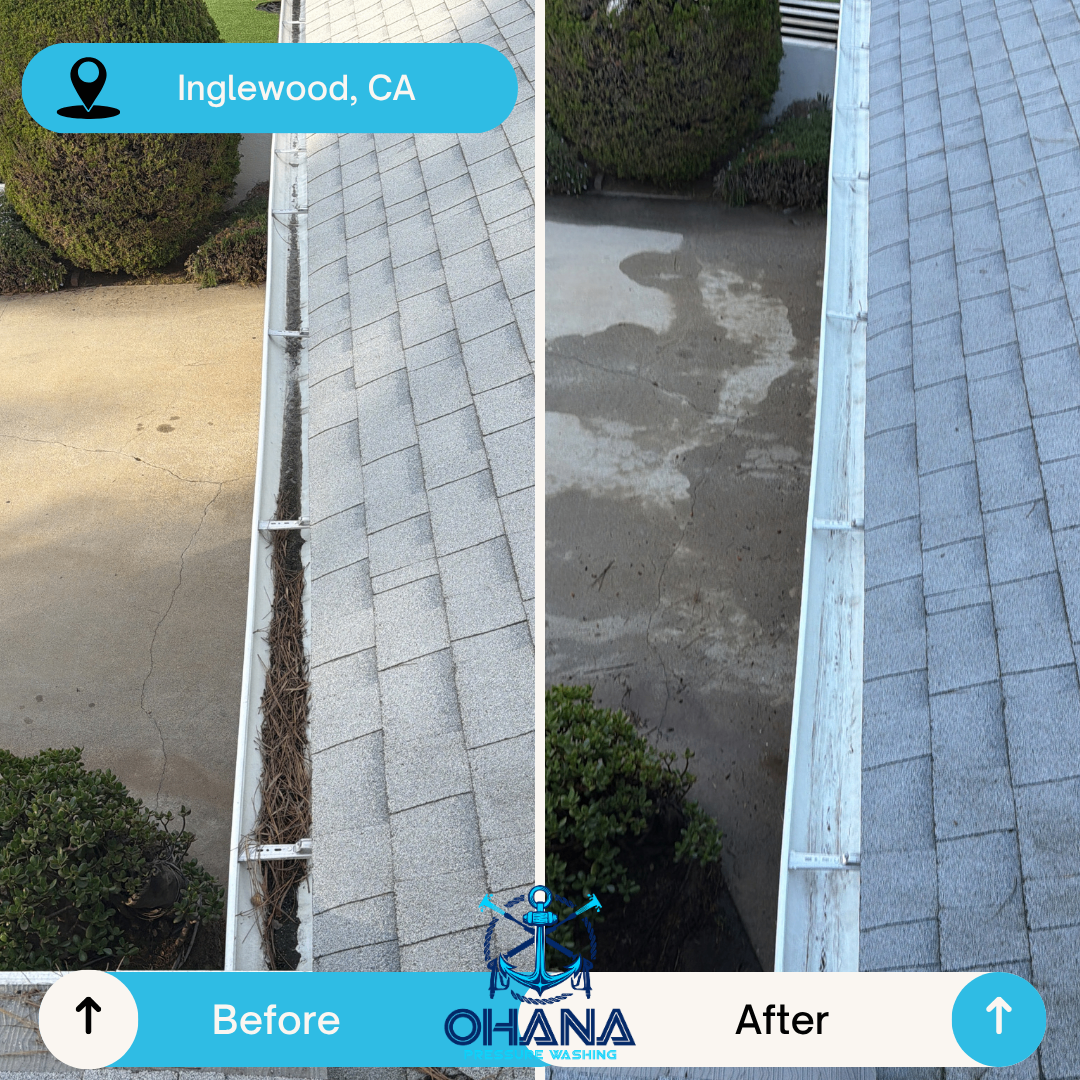Gutter cleanout — South Bay