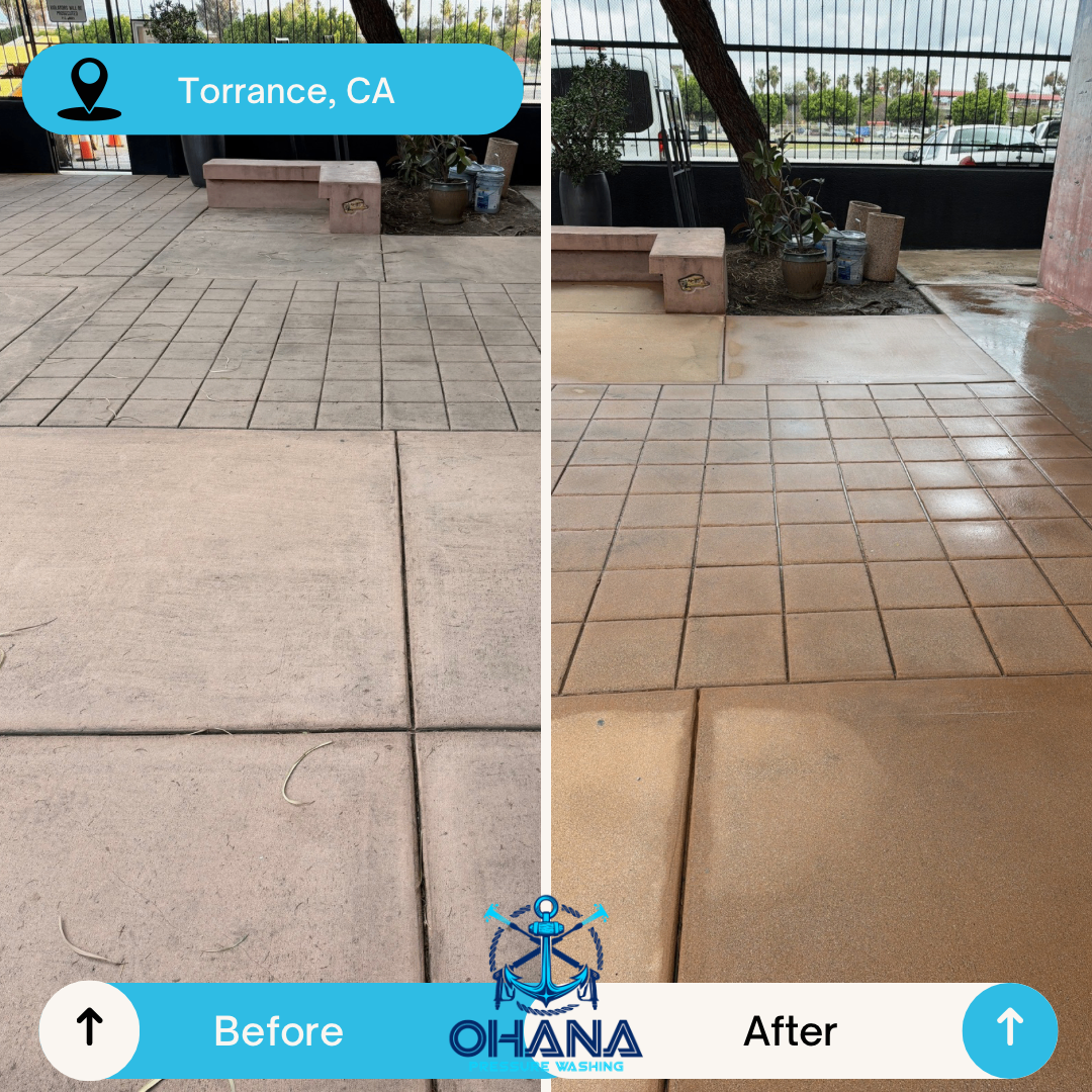 Concrete cleaning project 4