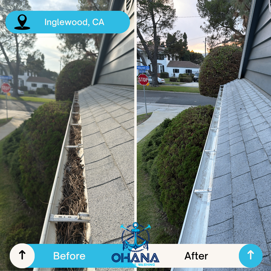 Gutter cleaning project 3